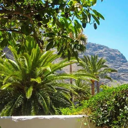 Casa Avocado *